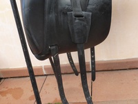 Náhled sedla