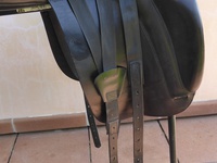 Náhled sedla