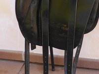 Náhled sedla
