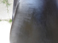 Náhled sedla
