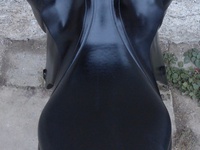 Náhled sedla