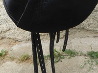 Náhled sedla