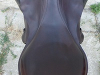 Náhled sedla