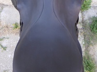 Náhled sedla