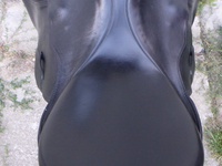 Náhled sedla